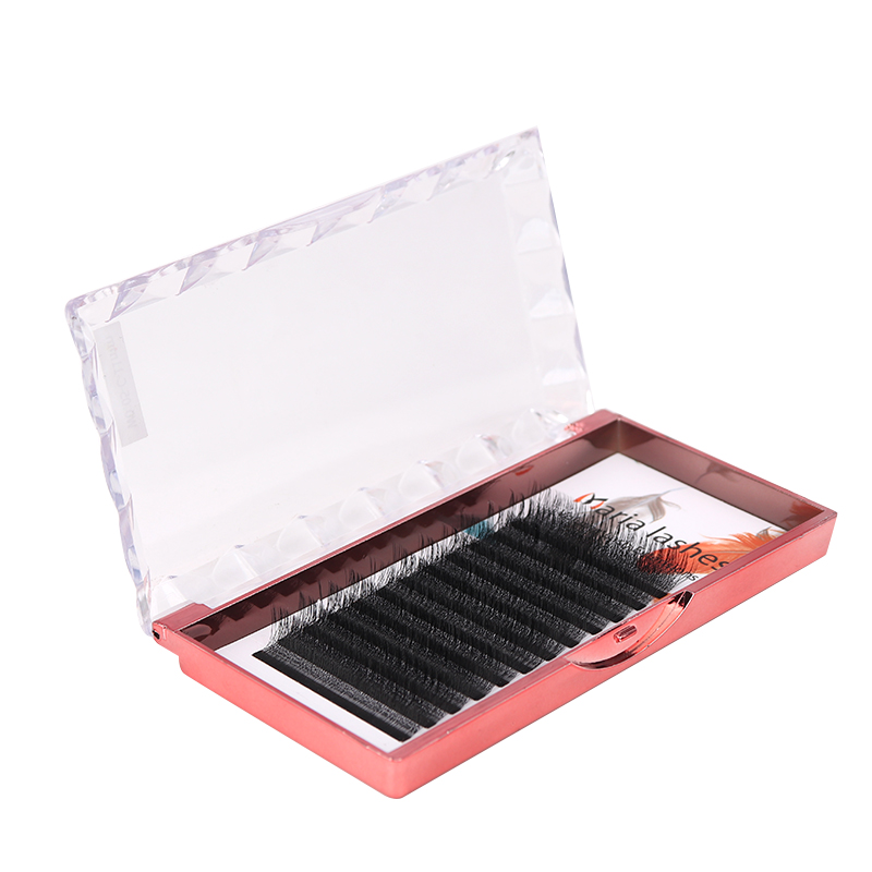 MARIA 10 Cases 4D W Shaped Bea - Eyelash Extension Fan review and price