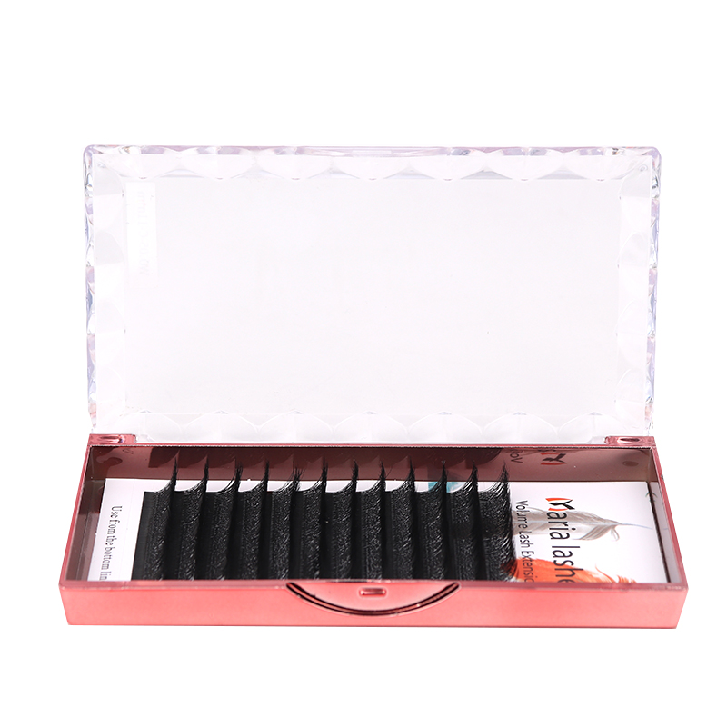 MARIA 10 Cases 4D W Shaped Bea - Eyelash Extension Fan review and price